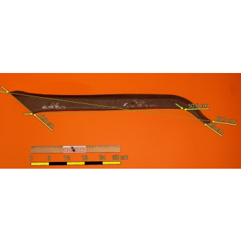 Carter copricatena usato, in buono stato per moto Ducati,  misure in foto