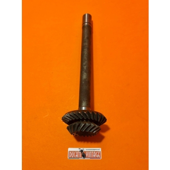 Ingranaggio coppia conica superiore ORIGINALE Z 20 28 per monocilindrici Ducati 250cc 