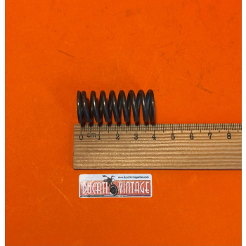 Molle per  Ducati Pantah 350cc 500cc 600cc (Frizione Surflex S1336C)